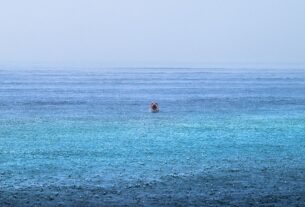 luca-lorenz-courtesy-wildlife-photographer-of-the-year-1-