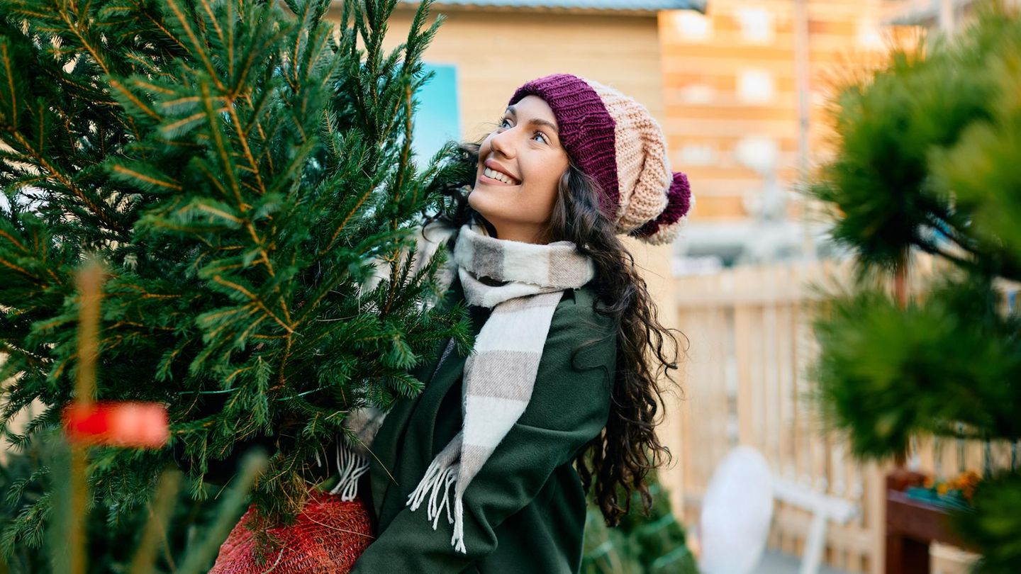 martha-stewart-verraet-weihnachtsbaum-kaufen