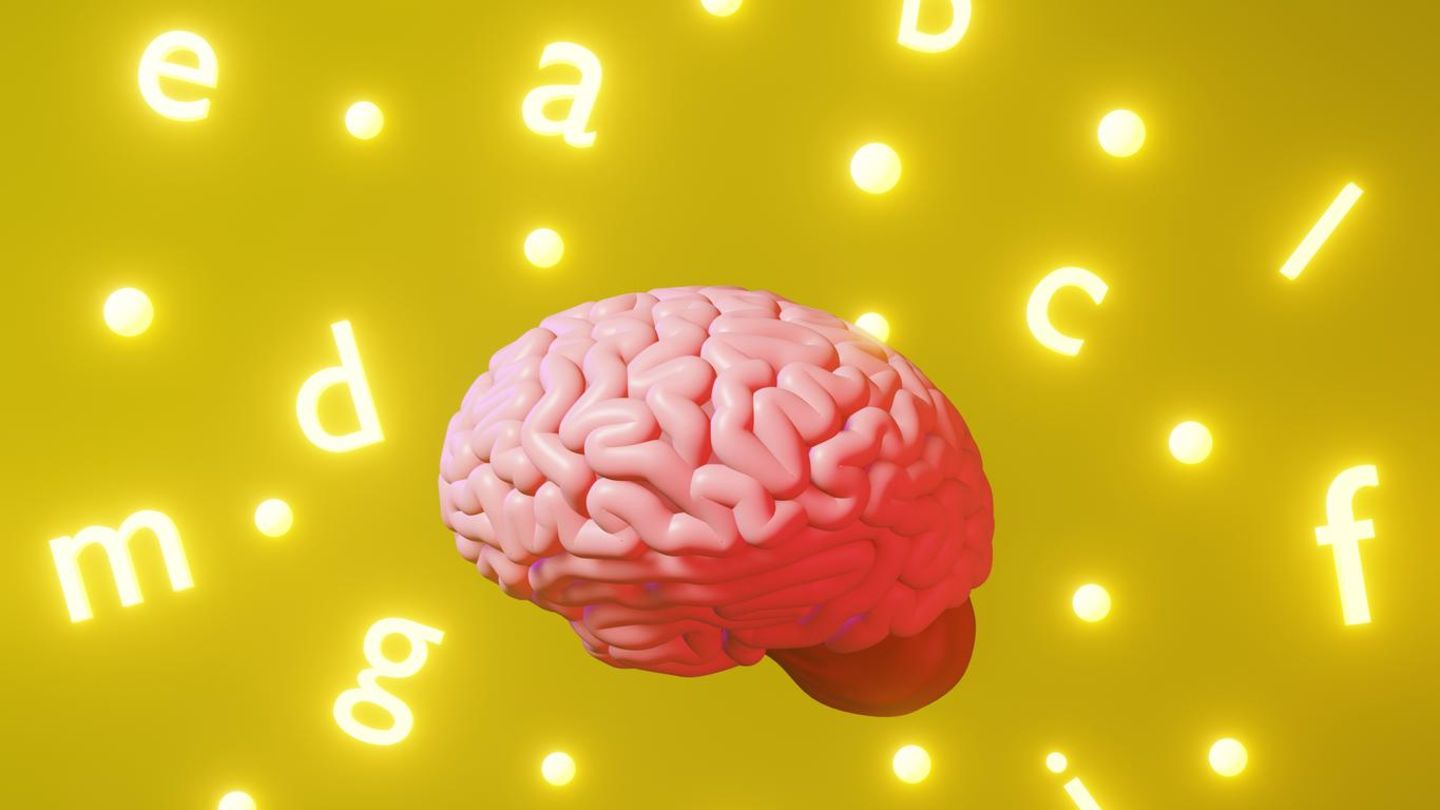 mehrsprachigkeit-gehirn