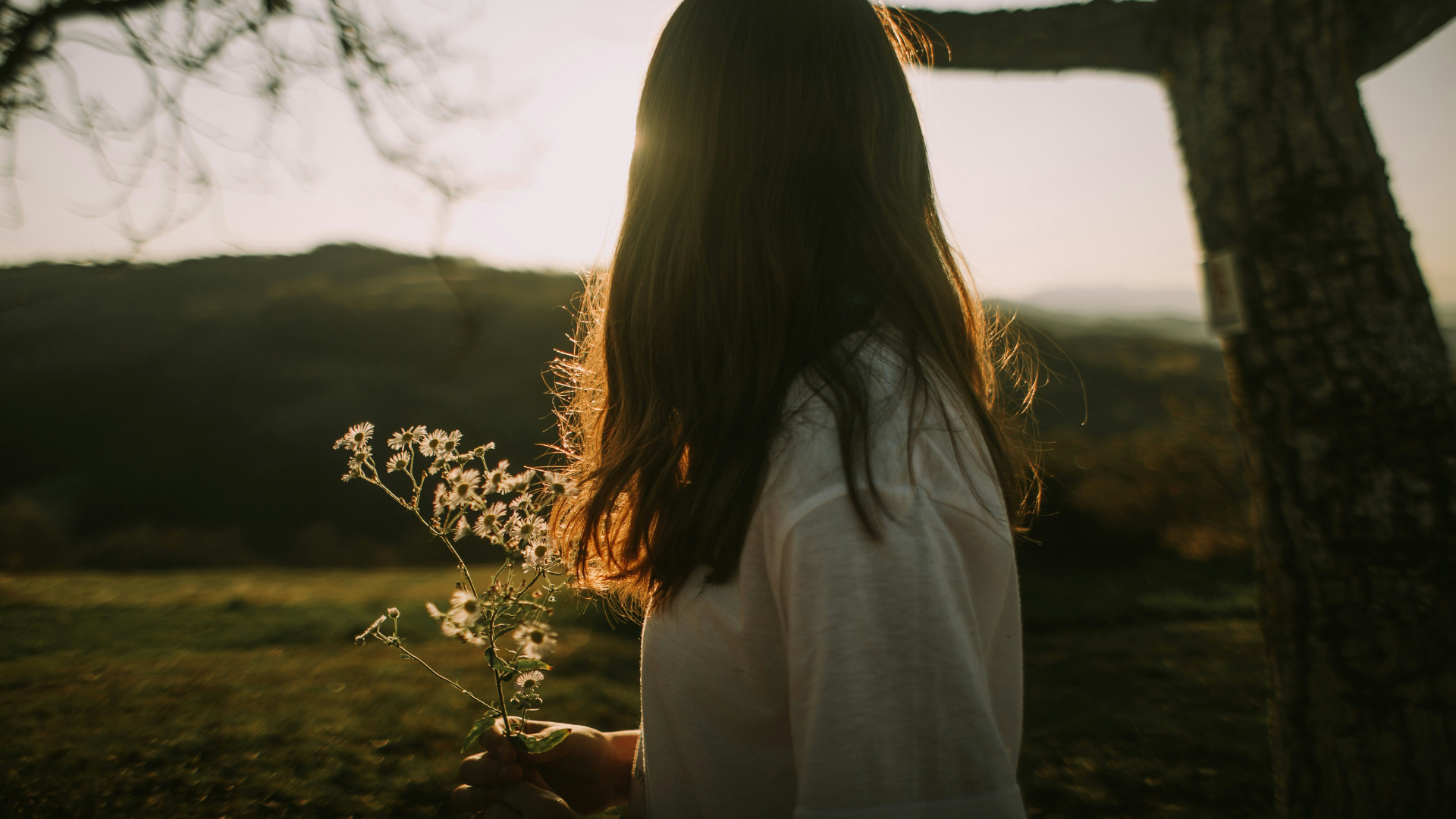 roxana-zerni-DrqEIG9Fmxs-unsplash-monatshoroskop-november-2025