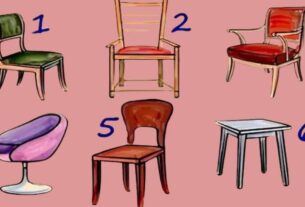 which-chair-do-you-want-to-sit-on-a-choice