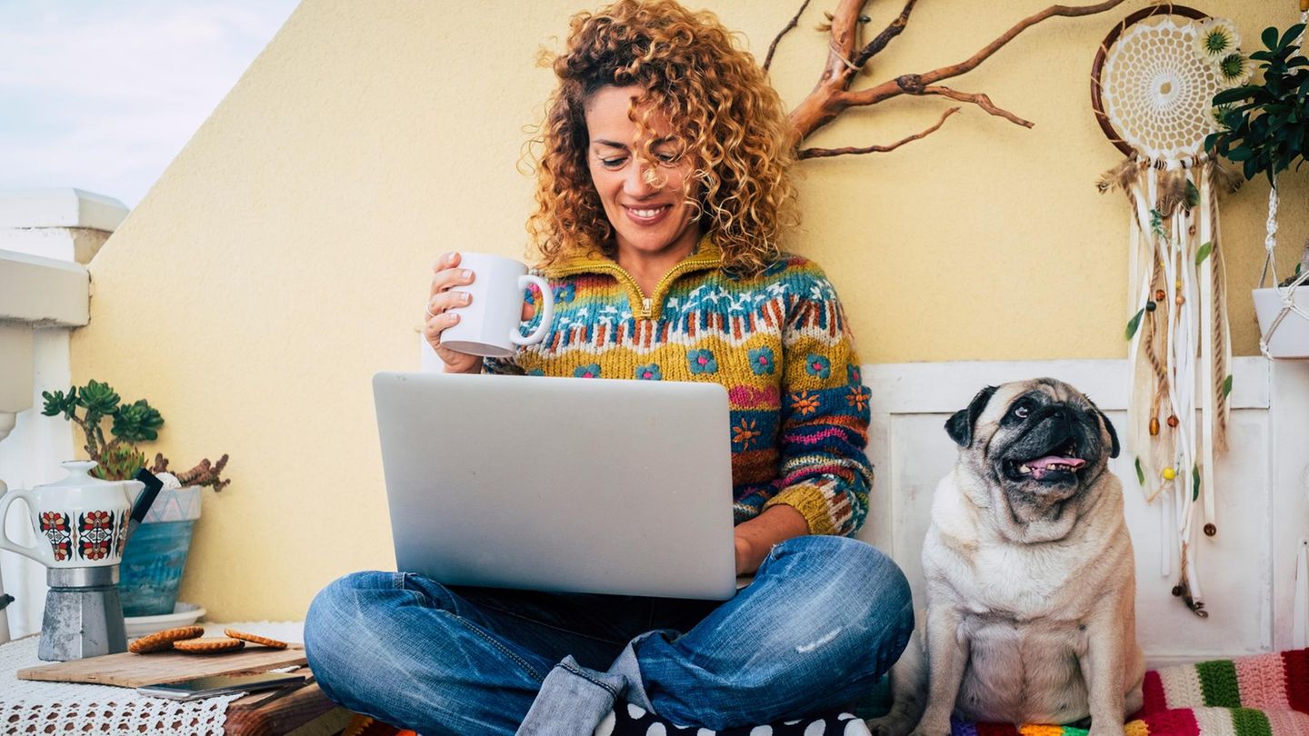 die-fuenf-ueberaschende-geheimnisse-warum-hunde