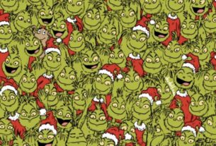 suchbild-fast-niemand-kann-die-fuenf-christbaumkugeln-finden