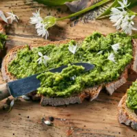 baerlauch-zeit-zwei-gruende-warum-du-das-gruene-superkraut-11