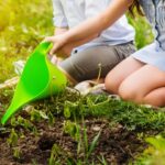 Grüner Daumen: 4 Tipps, die Essig im Garten zum Wundermittel machen