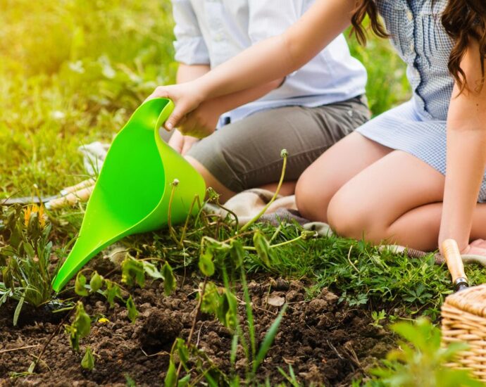 Grüner Daumen: 4 Tipps, die Essig im Garten zum Wundermittel machen