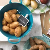 neue-kartoffeln-sorten