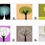 Persönlichkeitstest: Welchen Baum du wählst, verrät, was dich besonders macht