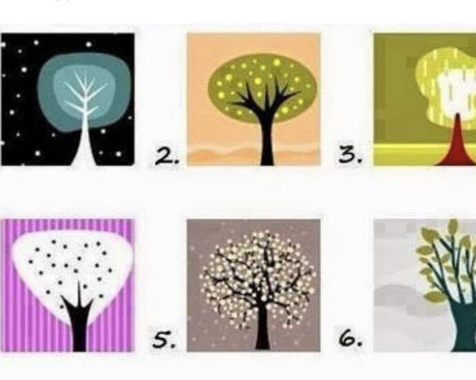 Persönlichkeitstest: Welchen Baum du wählst, verrät, was dich besonders macht