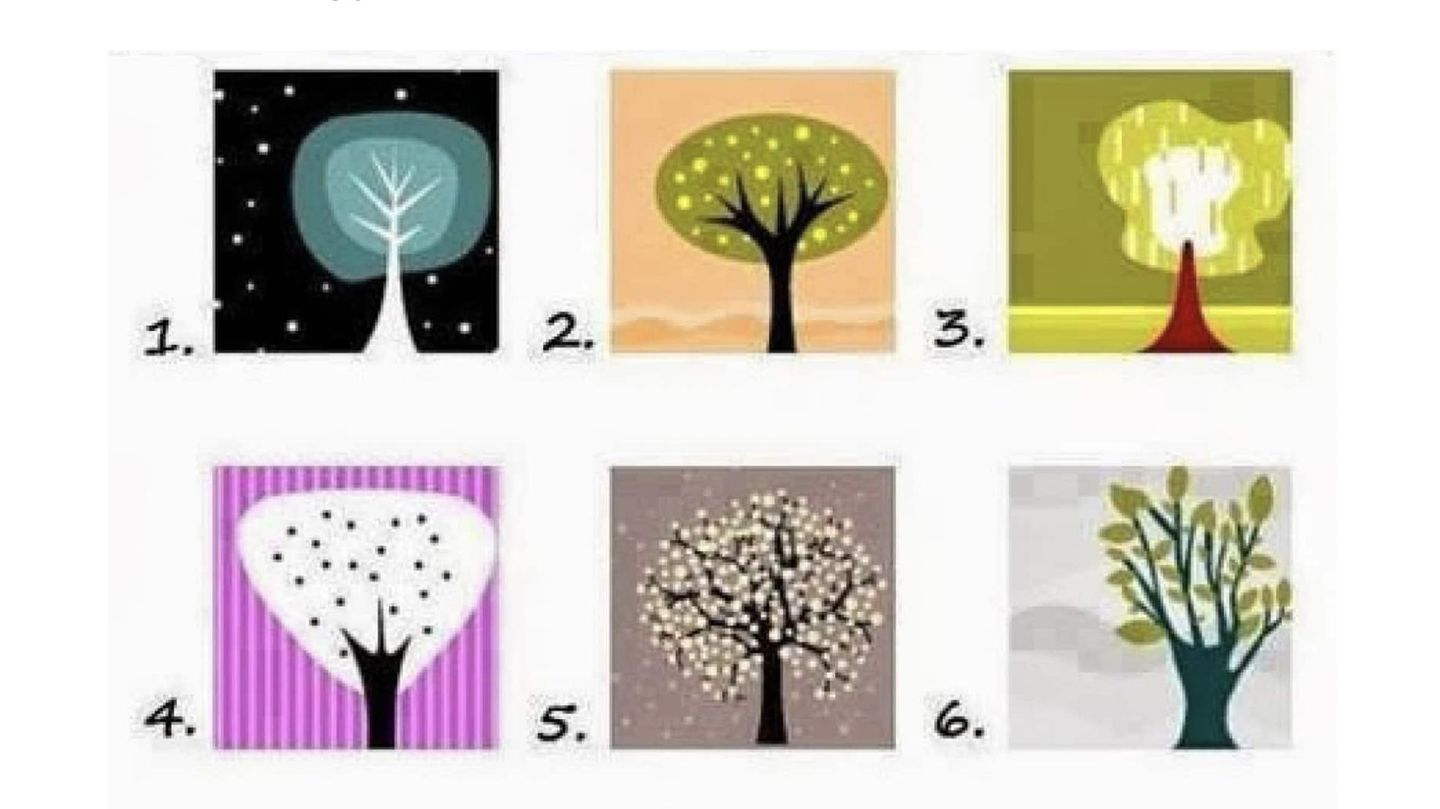 Persönlichkeitstest: Welchen Baum du wählst, verrät, was dich besonders macht