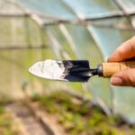 Intelligentes Gärtnern: Warum Natron im Garten ein wahres Wundermittel ist