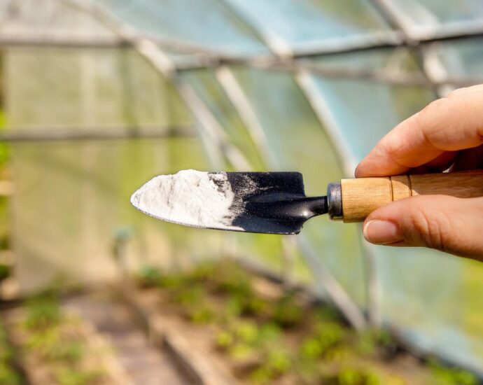 Intelligentes Gärtnern: Warum Natron im Garten ein wahres Wundermittel ist