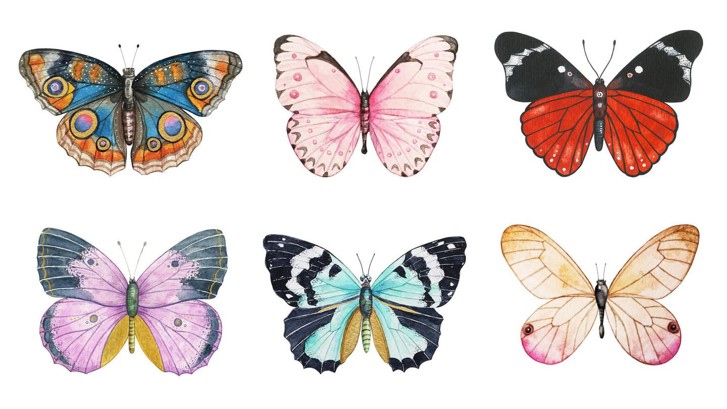 Sommer-Persönlichkeitstest: Wähle einen Schmetterling und entdecke deine verborgenen Stärken