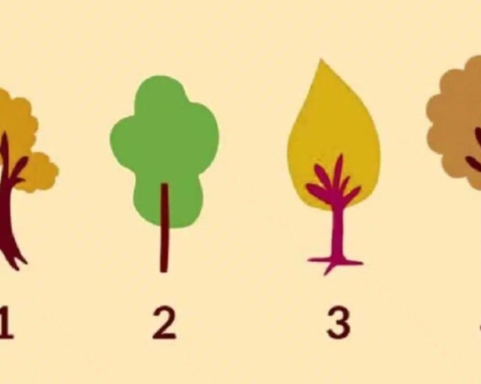 Persönlichkeitstest: Welchen Baum du hier auswählst, verrät, was dir im Leben Halt gibt