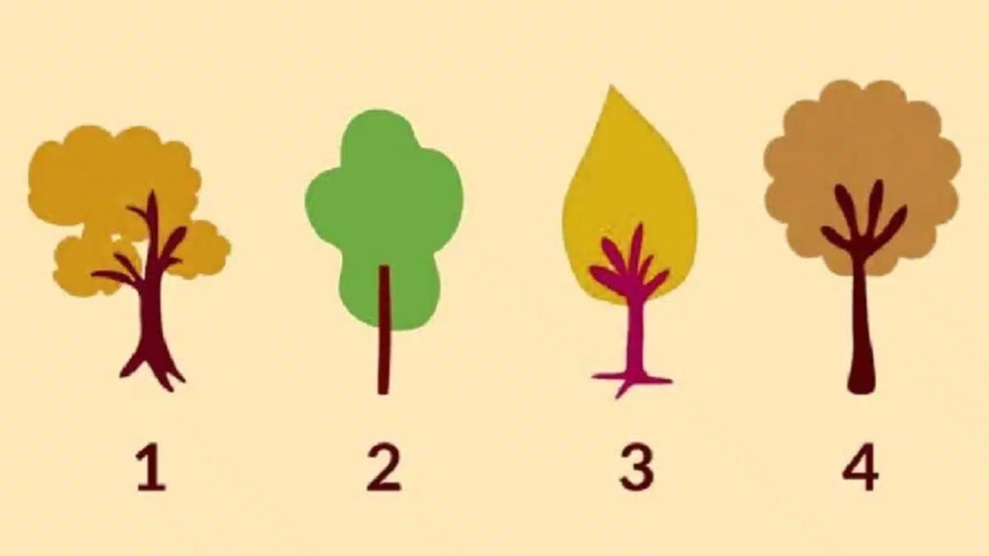 Persönlichkeitstest: Welchen Baum du hier auswählst, verrät, was dir im Leben Halt gibt