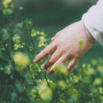Bye-bye, toxische Selbstoptimierung: Wie die "Slow Bloom"-Methode dich gesund wachsen lässt