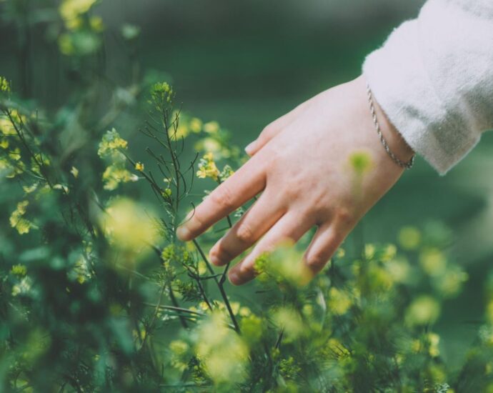Bye-bye, toxische Selbstoptimierung: Wie die "Slow Bloom"-Methode dich gesund wachsen lässt