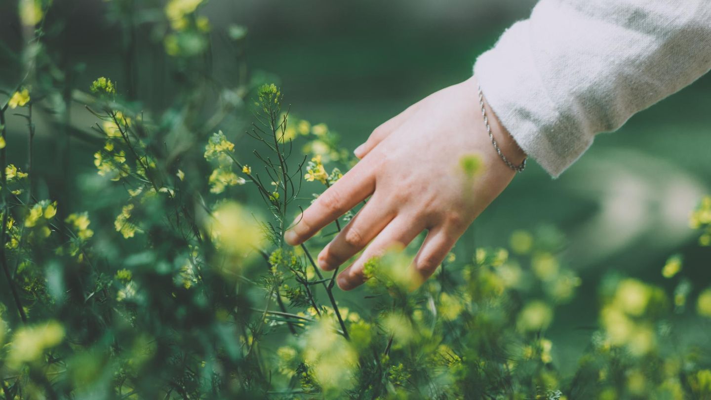 Bye-bye, toxische Selbstoptimierung: Wie die "Slow Bloom"-Methode dich gesund wachsen lässt
