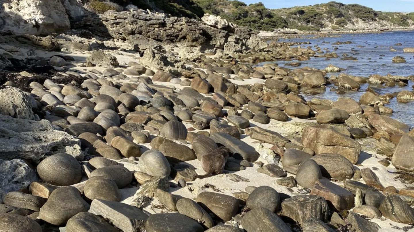 Strand-Suchbild: Kannst du beide Hunde finden, die auf dem Foto zu sehen sind?