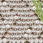 WM-Suchbild: Wo versteckt sich hier der Fußball zwischen den Pandas?