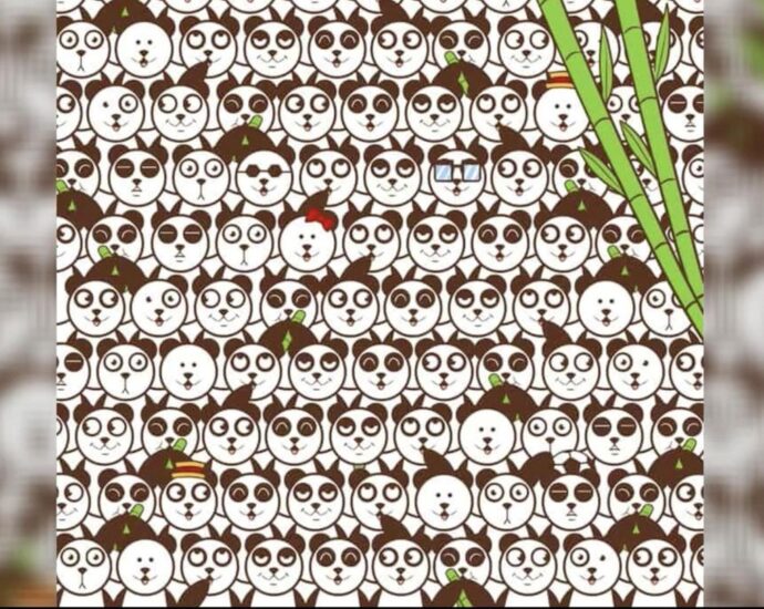 WM-Suchbild: Wo versteckt sich hier der Fußball zwischen den Pandas?