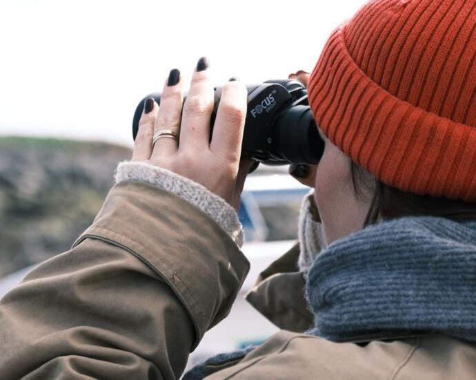 Offline-Hobby: Warum Vögel gucken das coolste Hobby der Welt ist – und Island der beste Ort dafür