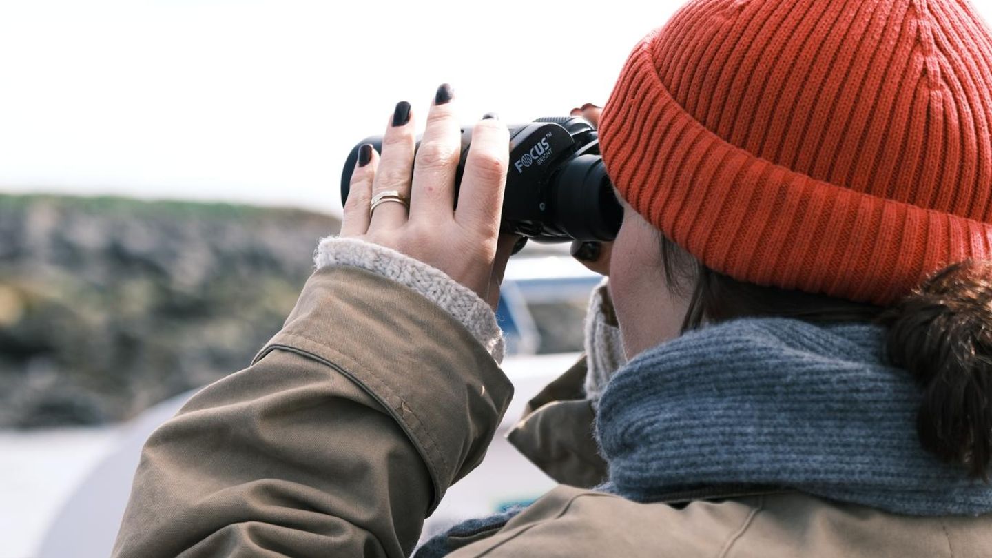 Offline-Hobby: Warum Vögel gucken das coolste Hobby der Welt ist – und Island der beste Ort dafür