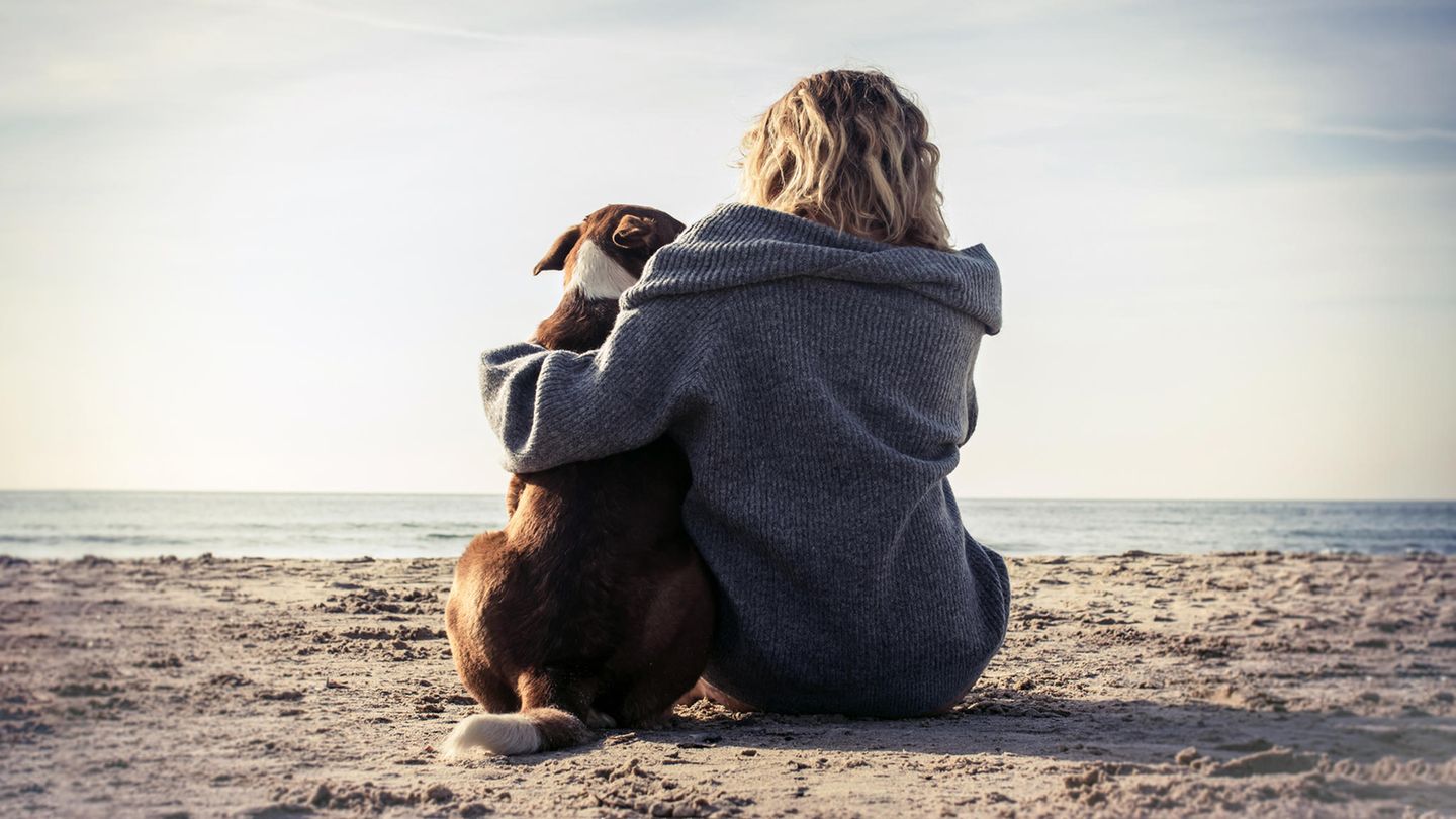 Psychologie: Welcher steckt in dir – und wie beeinflusst er dein Leben?