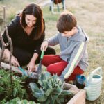 Gartentipp: 3 Blumen, die euer Beet vor Besuch von Schädlingen schützen