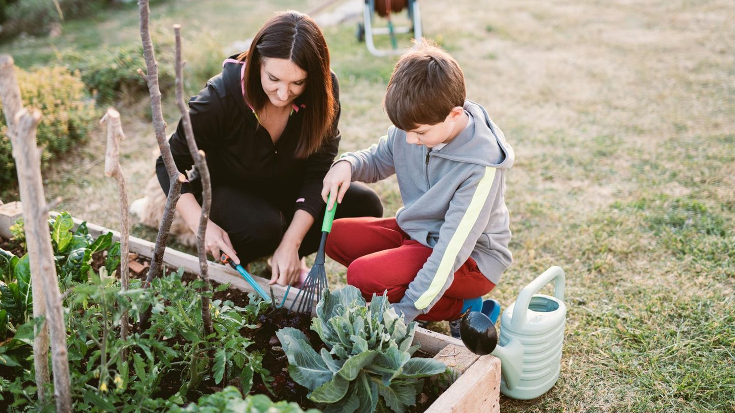 Gartentipp: 3 Blumen, die euer Beet vor Besuch von Schädlingen schützen