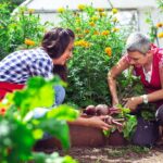 Nach der Sommersonnenwende: 3 Dinge, die euer Garten jetzt für den Hochsommer braucht