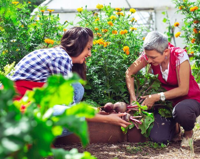 Nach der Sommersonnenwende: 3 Dinge, die euer Garten jetzt für den Hochsommer braucht