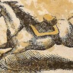 Wochenend-Rätsel: Pferd auf der Flucht – wo versteckt sich auf diesem Bild der Reiter?