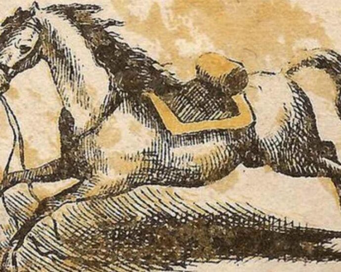 Wochenend-Rätsel: Pferd auf der Flucht – wo versteckt sich auf diesem Bild der Reiter?