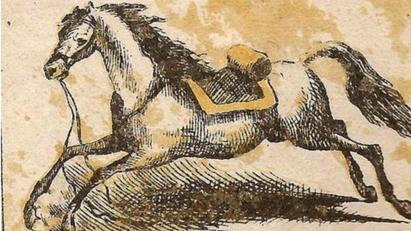 Wochenend-Rätsel: Pferd auf der Flucht – wo versteckt sich auf diesem Bild der Reiter?