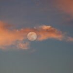 Vollmond-Manifestation: Wie du am 28. August deine Wünsche manifestierst