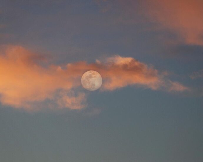 Vollmond-Manifestation: Wie du am 28. August deine Wünsche manifestierst