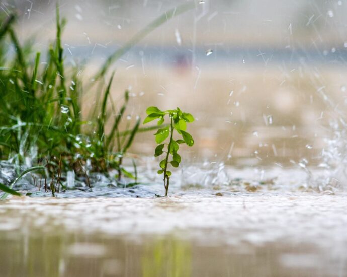 Gartentipp: 5 Handgriffe, die du direkt nach dem Regen im Garten erledigen solltest