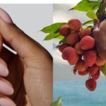 Lychee Martini Nails : So sieht der fruchtigste Nageltrend des Sommers aus