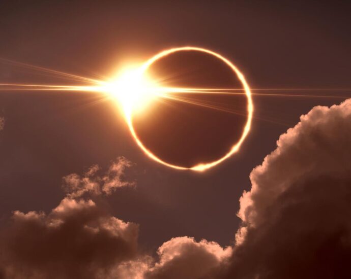 Horoskop: Welchen Sternzeichen die Sonnenfinsternis eine überraschende Wahrheit enthüllt