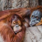 Liebe: 4 untrügliche Zeichen, dass aus deiner Beziehung eher eine Freundschaft geworden ist
