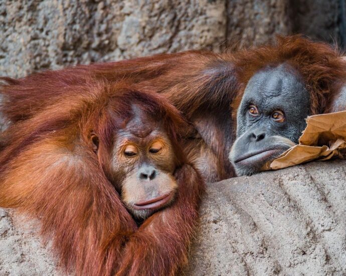 Liebe: 4 untrügliche Zeichen, dass aus deiner Beziehung eher eine Freundschaft geworden ist