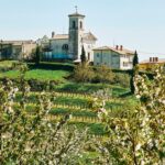 Weinberge, Bergdörfer und gutes Essen: Zum Schlemmen nach Slowenien