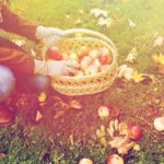Spätsommer-Checkliste 2026: Diese 3 Gartenaufgaben solltest du jetzt unbedingt noch erledigen – es lohnt sich!