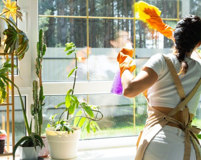 Putz-Trick: Dieser Küchenhelfer sorgt für glänzende Fenster – bis zum Frühling