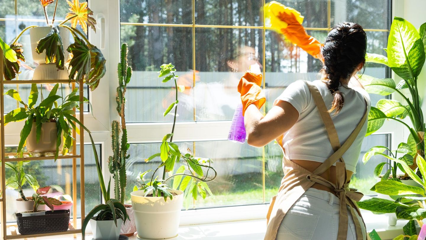 Putz-Trick: Dieser Küchenhelfer sorgt für glänzende Fenster – bis zum Frühling
