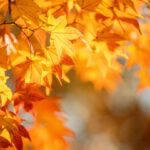 Herbst-Horoskop 2026: Für diese 3 Sternzeichen hält der Oktober eine wunderschöne Überraschung bereit
