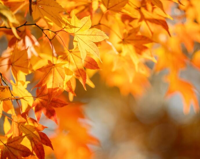 Herbst-Horoskop 2026: Für diese 3 Sternzeichen hält der Oktober eine wunderschöne Überraschung bereit