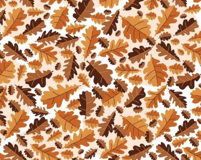 Herbst-Sehtest: Wer findet die versteckte Eichel im Blättermeer?
