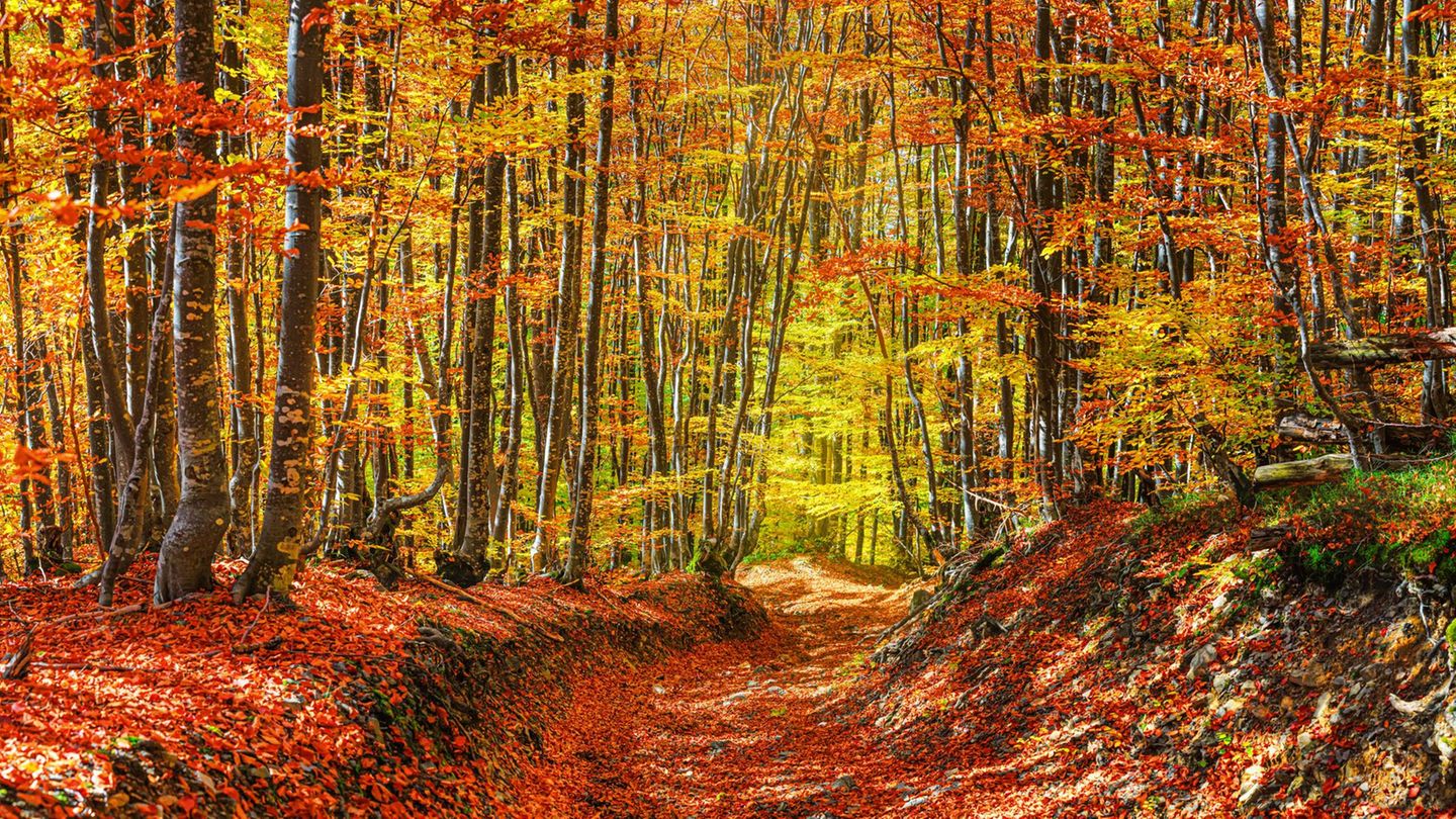 Kurztrip im Herbst: 5 Nationalparks, die du am Wochenende entdecken solltest